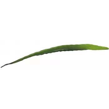 EUROPALMS Künstliches Aloe-Blatt (EVA), Grün, 60cm 82530581