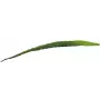 EUROPALMS Künstliches Aloe-Blatt (EVA), Grün, 60cm 82530581