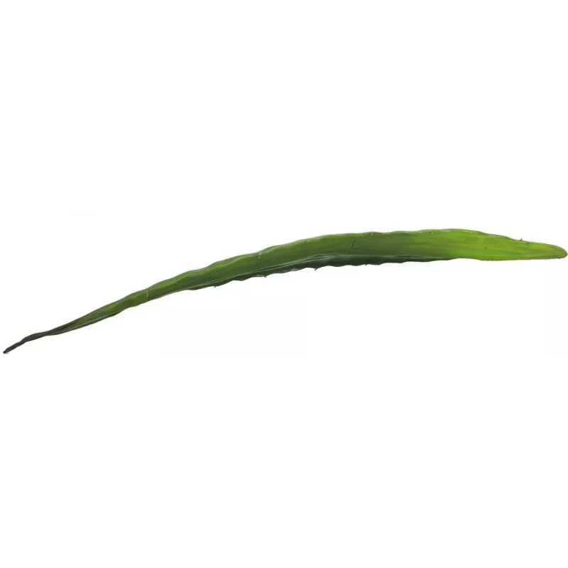 EUROPALMS Künstliches Aloe-Blatt (EVA), Grün, 60cm 82530581