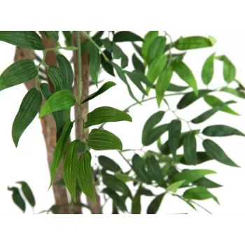 EUROPALMS Ficus Longifolia Kunstpflanze, 165cm 82506350