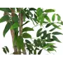 EUROPALMS Ficus Longifolia Kunstpflanze, 165cm 82506350