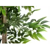EUROPALMS Ficus Longifolia Kunstpflanze, 165cm 82506350