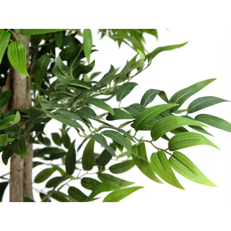 EUROPALMS Ficus Longifolia Kunstpflanze, 165cm 82506350