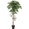 EUROPALMS Ficus Longifolia Kunstpflanze, 165cm 82506350
