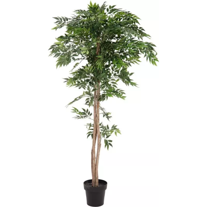 EUROPALMS Ficus Longifolia Kunstpflanze, 165cm 82506350