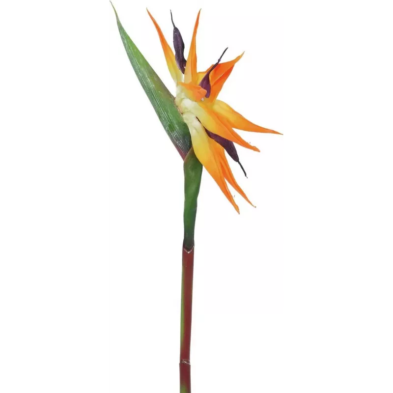 EUROPALMS Künstliche Paradiesvogelblume, Orange, 95 cm 82530559