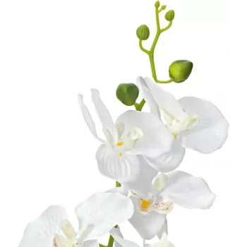EUROPALMS Orchidee Kunstpflanze, Weiß, 80cm (82530362)