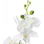 EUROPALMS Orchidee Kunstpflanze, Weiß, 80cm (82530362)