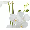 EUROPALMS Orchidee Kunstpflanze, Weiß, 80cm (82530362)