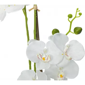EUROPALMS Orchidee Kunstpflanze, Weiß, 80cm (82530362)