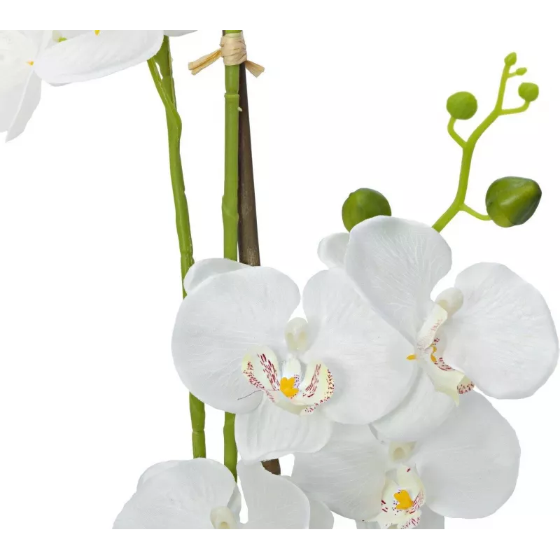 EUROPALMS Orchidee Kunstpflanze, Weiß, 80cm (82530362)