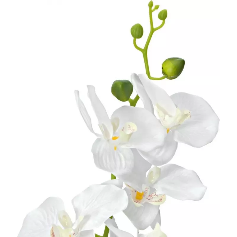 EUROPALMS Orchidee Kunstpflanze, Weiß, 80cm (82530362)