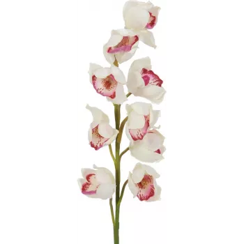 EUROPALMS Cymbidium-Zweig, künstlich, weiß-rosa, 90cm 82530312