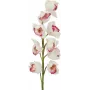 EUROPALMS Cymbidium-Zweig, künstlich, weiß-rosa, 90cm 82530312