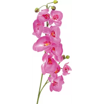 EUROPALMS Künstlicher Orchideenzweig, Lila, 100 cm 82530322