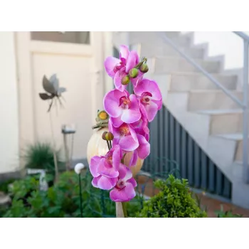 EUROPALMS Künstlicher Orchideenzweig, Lila, 100 cm 82530322