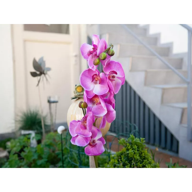 EUROPALMS Künstlicher Orchideenzweig, Lila, 100 cm 82530322