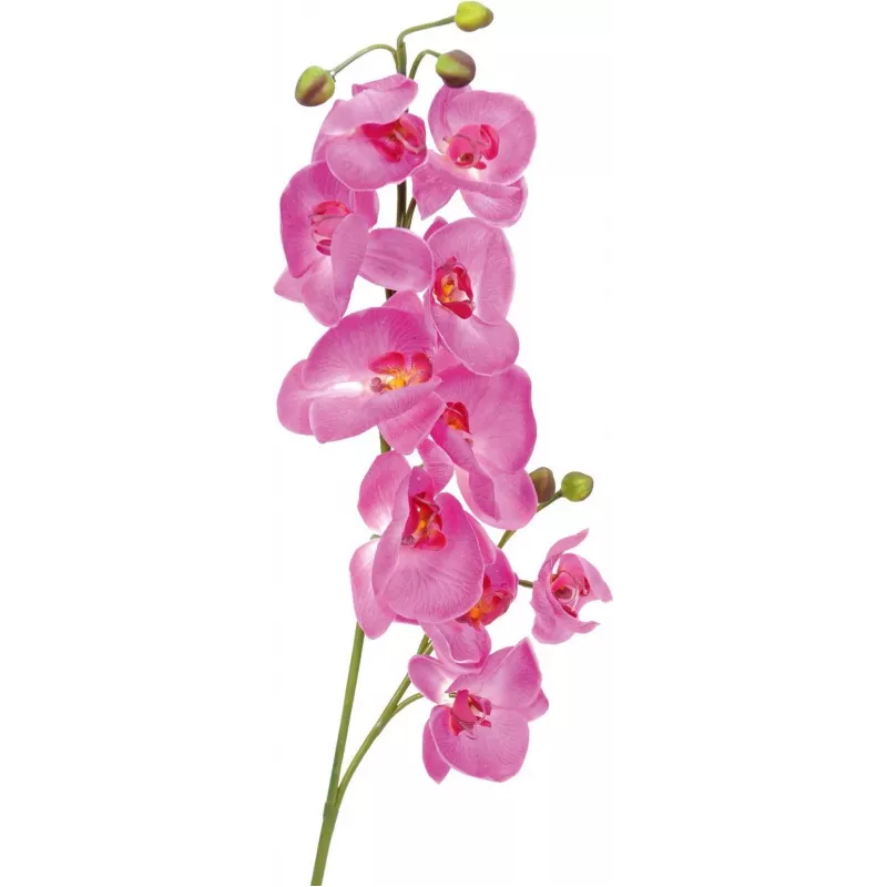 EUROPALMS Künstlicher Orchideenzweig, Lila, 100 cm 82530322