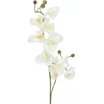 EUROPALMS Künstlicher Orchideenzweig, Creme-Weiß, 100cm (82530323)