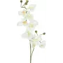 EUROPALMS Künstlicher Orchideenzweig, Creme-Weiß, 100cm (82530323)