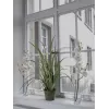EUROPALMS Künstlicher Orchideenzweig, Creme-Weiß, 100cm (82530323)