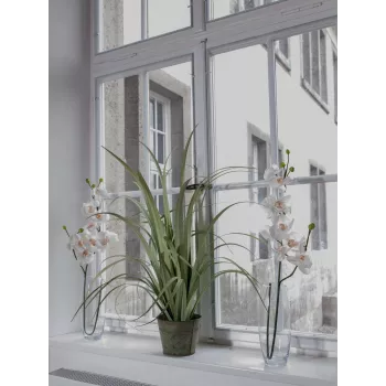 EUROPALMS Künstlicher Orchideenzweig, Creme-Weiß, 100cm (82530323)