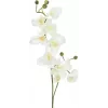 EUROPALMS Künstlicher Orchideenzweig, Creme-Weiß, 100cm (82530323)