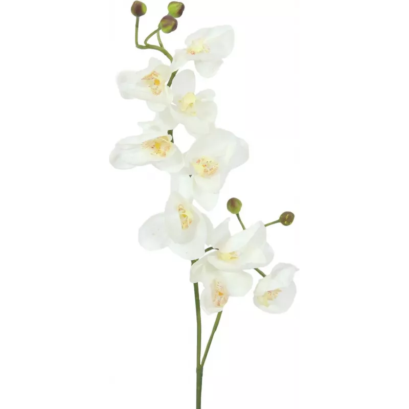 EUROPALMS Künstlicher Orchideenzweig, Creme-Weiß, 100cm (82530323)
