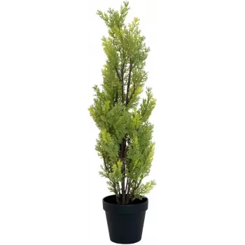 EUROPALMS Leyland-Zypresse Kunstpflanze, 60cm 82606959