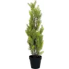 EUROPALMS Leyland-Zypresse Kunstpflanze, 60cm 82606959