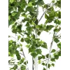 EUROPALMS Birkenbaum Künstliche Pflanze 180cm 82505231