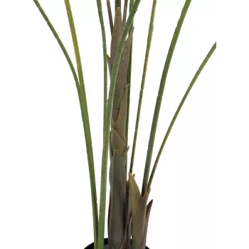 EUROPALMS Großblatt-Areca Künstliche Areca-Palme, 185cm (82509442)