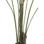 EUROPALMS Großblatt-Areca Künstliche Areca-Palme, 185cm (82509442)