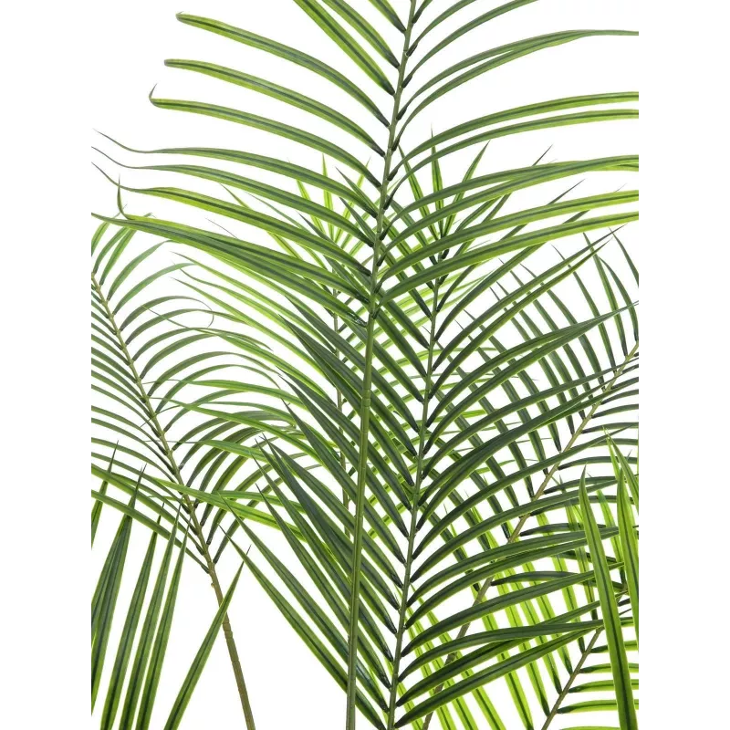 EUROPALMS Großblatt-Areca Künstliche Areca-Palme, 185cm (82509442)