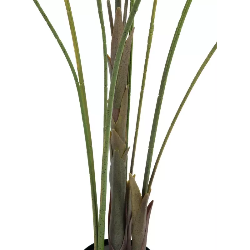 EUROPALMS Großblatt-Areca Künstliche Areca-Palme, 185cm (82509442)