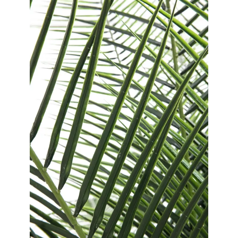 EUROPALMS Phoenix Palm Deluxe Künstliche Pflanze 220cm 82509722