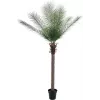EUROPALMS Phoenix Palm Deluxe Künstliche Pflanze 220cm 82509722