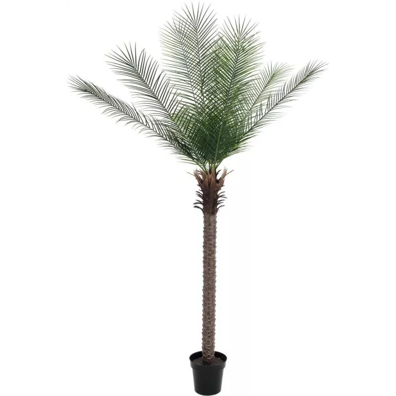 EUROPALMS Phoenix Palm Deluxe Künstliche Pflanze 220cm 82509722