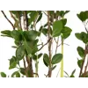 EUROPALMS Immergrüner Strauch mit Gras Kunstpflanze, 120 cm 82600183