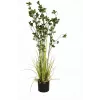 EUROPALMS Immergrüner Strauch mit Gras Kunstpflanze, 120 cm 82600183