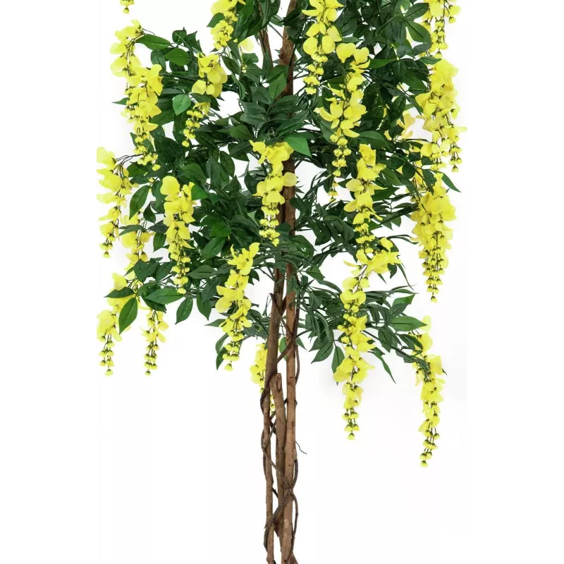EUROPALMS Goldregen Künstliche Pflanze, Gelb, 180cm 82507116