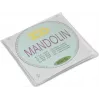 DIMAVERY Mandolinen-Saitensatz, 010-032 (26320082)