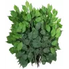 EUROPALMS Künstlicher Ficus-Benjamina-Zweig, 12er-Pack 82506101