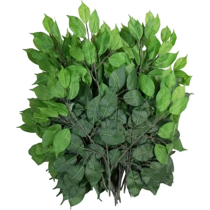 EUROPALMS Künstlicher Ficus-Benjamina-Zweig, 12er-Pack 82506101