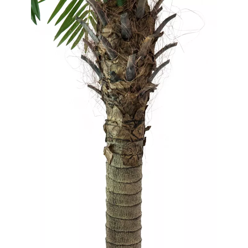 EUROPALMS Phoenix Palm Luxor Kunstpflanze, 210cm 82510721