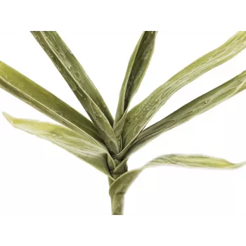 EUROPALMS Künstlicher Yucca-Zweig (EVA), Grün 82531063