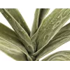 EUROPALMS Künstlicher Yucca-Zweig (EVA), Grün 82531063