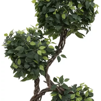 EUROPALMS Ficus Multi Spiral Trunk Kunstpflanze, 160cm 82501563
