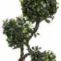 EUROPALMS Ficus Multi Spiral Trunk Kunstpflanze, 160cm 82501563