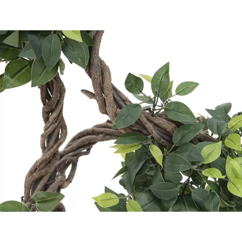 EUROPALMS Ficus Multi Spiral Trunk Kunstpflanze, 160cm 82501563